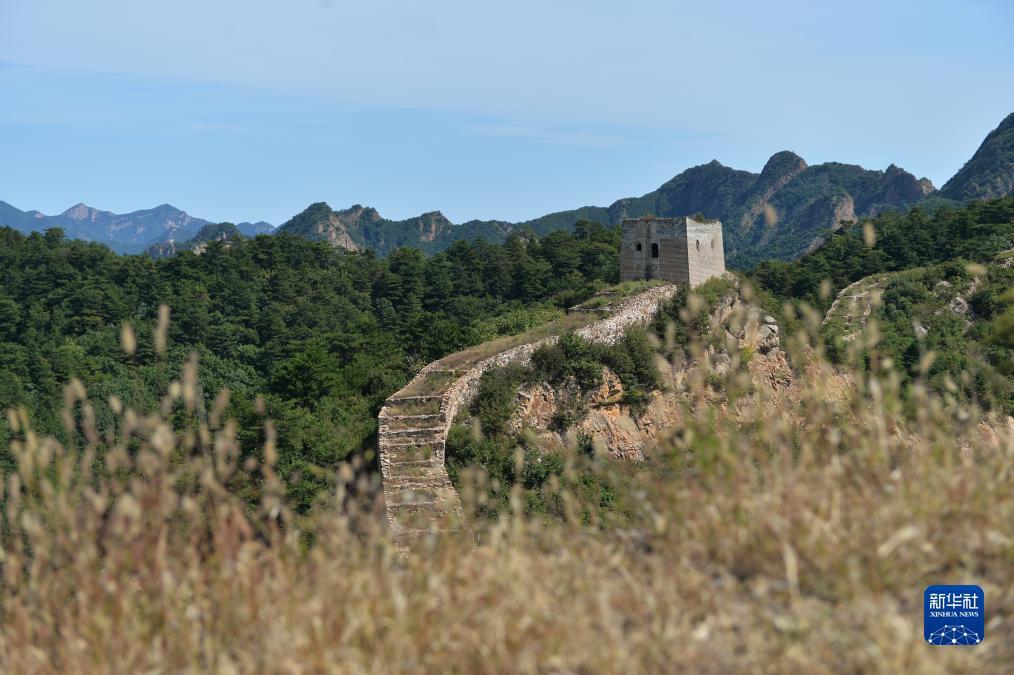 跳槽彩金